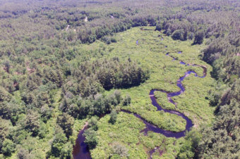 PLC & Brookline Partner to Protect the Nissitissit River