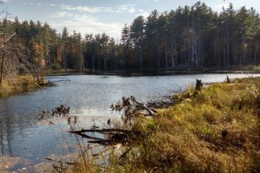 Tarr Lands in Bedford & Goffstown to become PLC Preserve