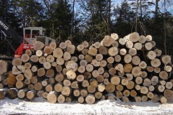 Timber Harvest Begins at Tuthill