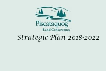 PLC Adopts New Strategic Plan