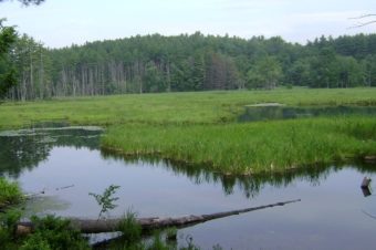 PLC Easement will Protect Paige Hill Marsh in Goffstown