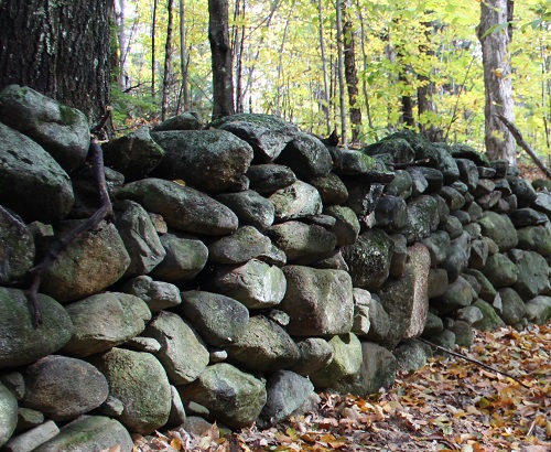 stone wall on French Road Lyndeborough NH