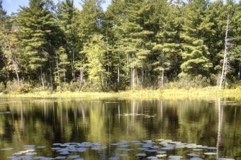 PLC Launches Nissitissit Headwaters Project in Mason