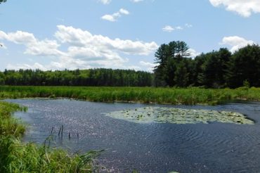 Jennings Easement Completed in Goffstown
