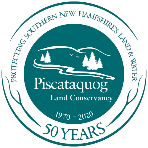 PLC's 50th Anniversary Logo