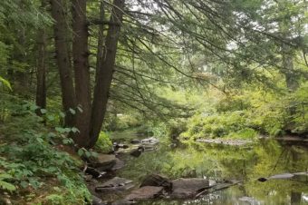PLC Easement Will Protect New Boston’s Town Forests
