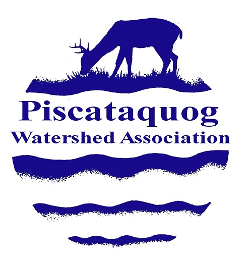 PWA's Logo