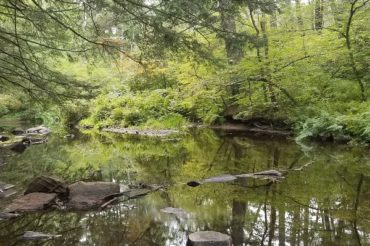 Conservation Easement Protects New Boston Town Forests