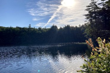 Ferrin Pond Conservation Area Trail Guide Updated