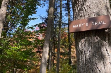 All Are Welcome at Mary’s Trail in Brookline